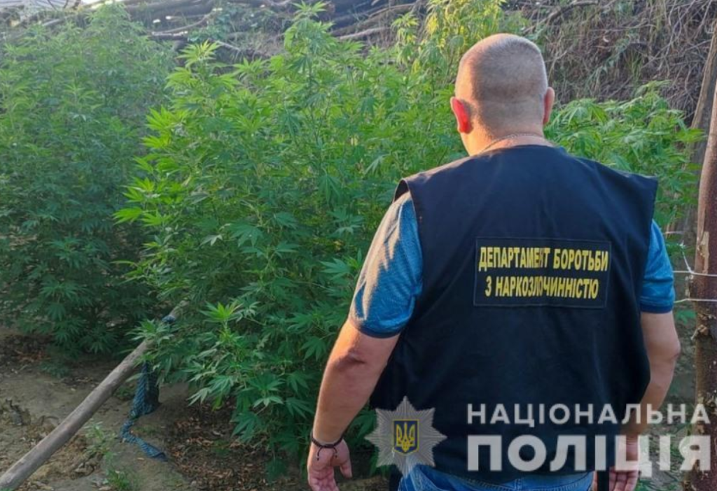 наркоаграрии