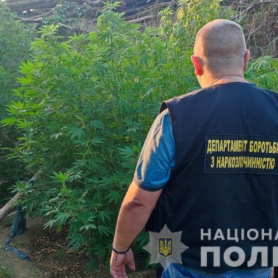 наркоаграрии