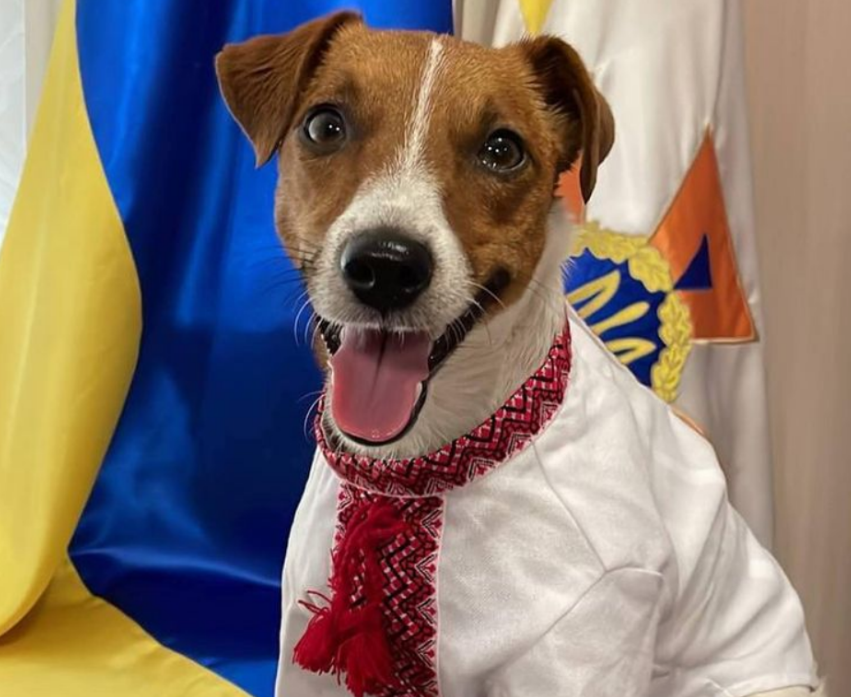 патрон