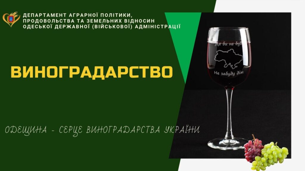 виноградорство