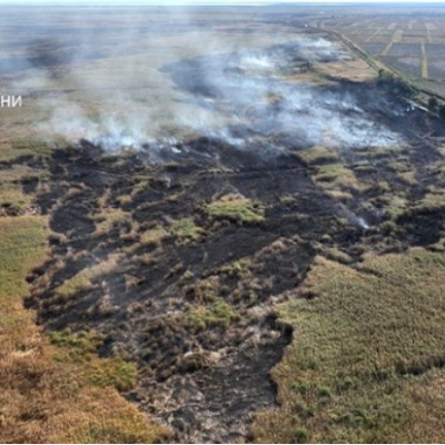 плавні пожежа