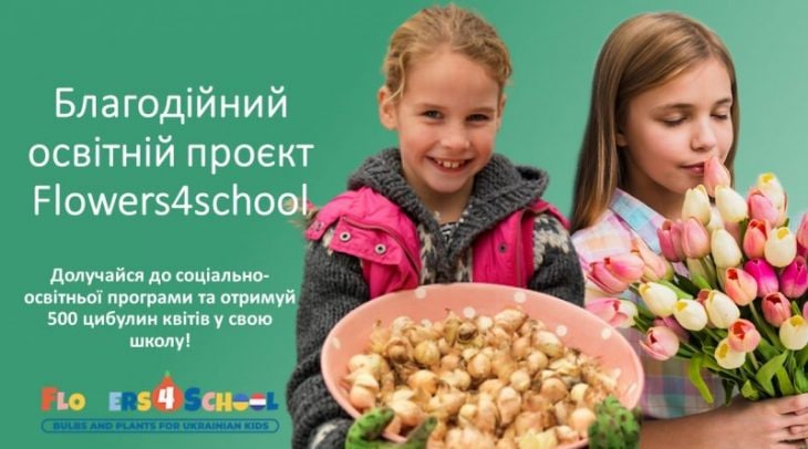 квіти для шкіл