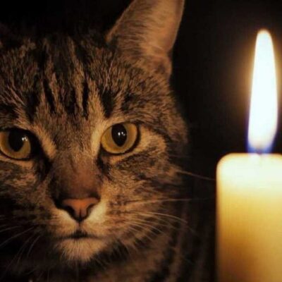 відключення світла