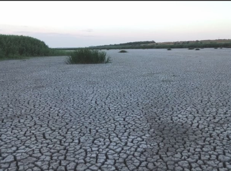 водойми Рені
