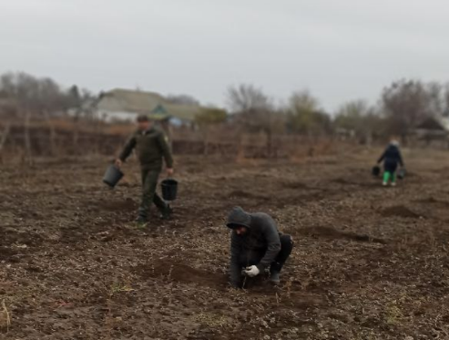 парк перемоги