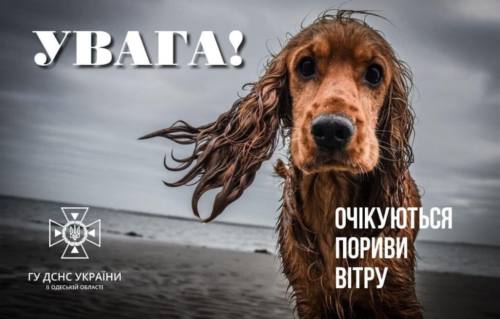 І рівень небезпечності