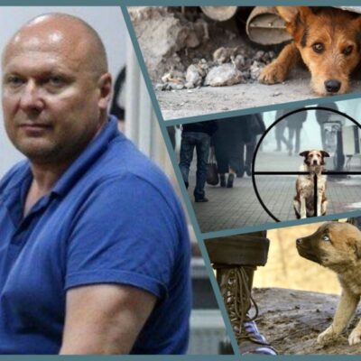 Олексій Святогор
