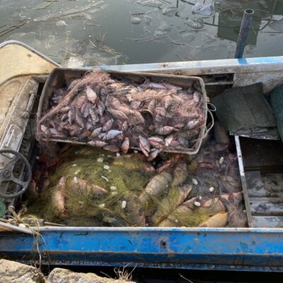 браконьєри