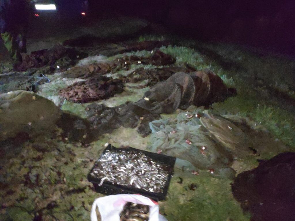 браконьєри