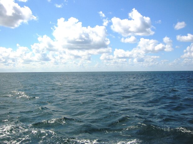 чорне море