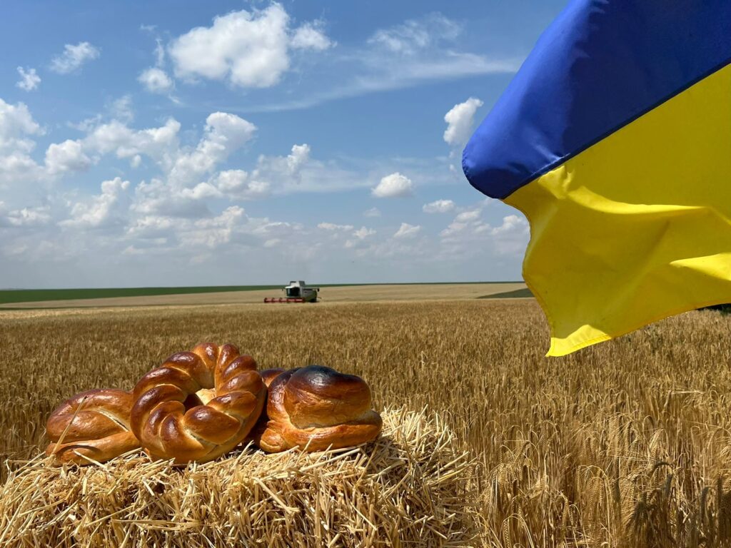 Жнива 2023
