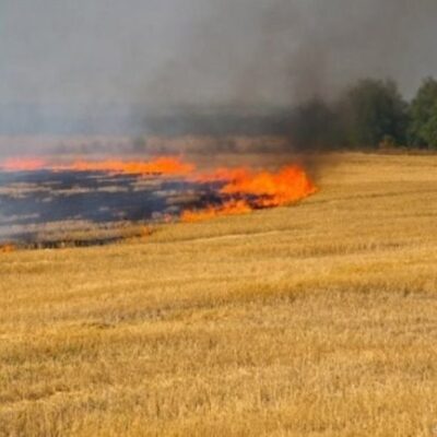 горіло поле з пшеницею