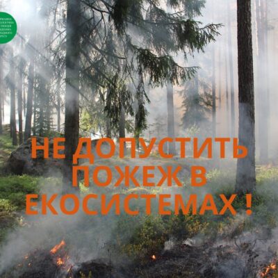пожежі в екосистемі