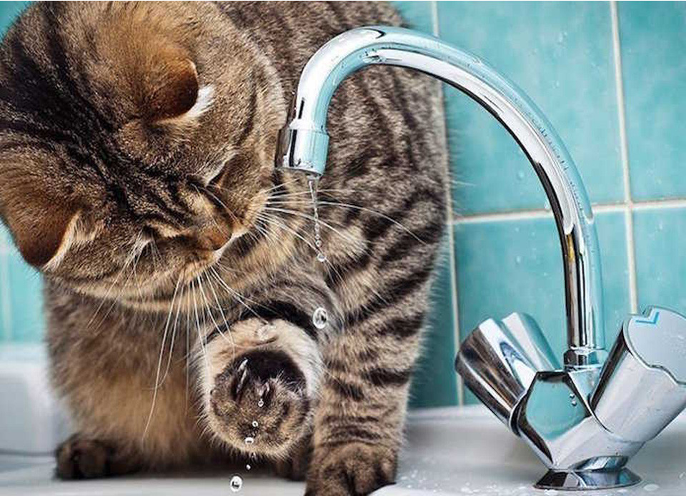 проблеми з водою