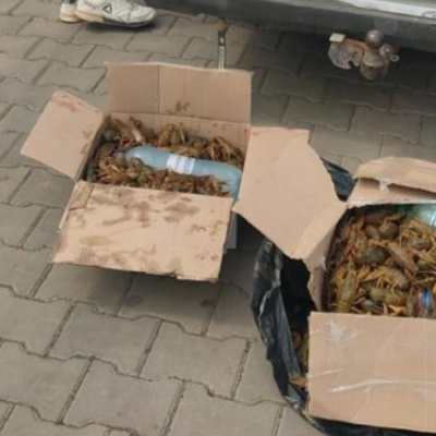раки Болград