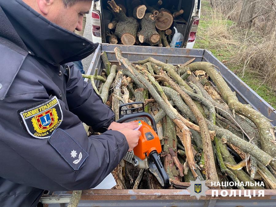 Тузлівськи лимани дерева