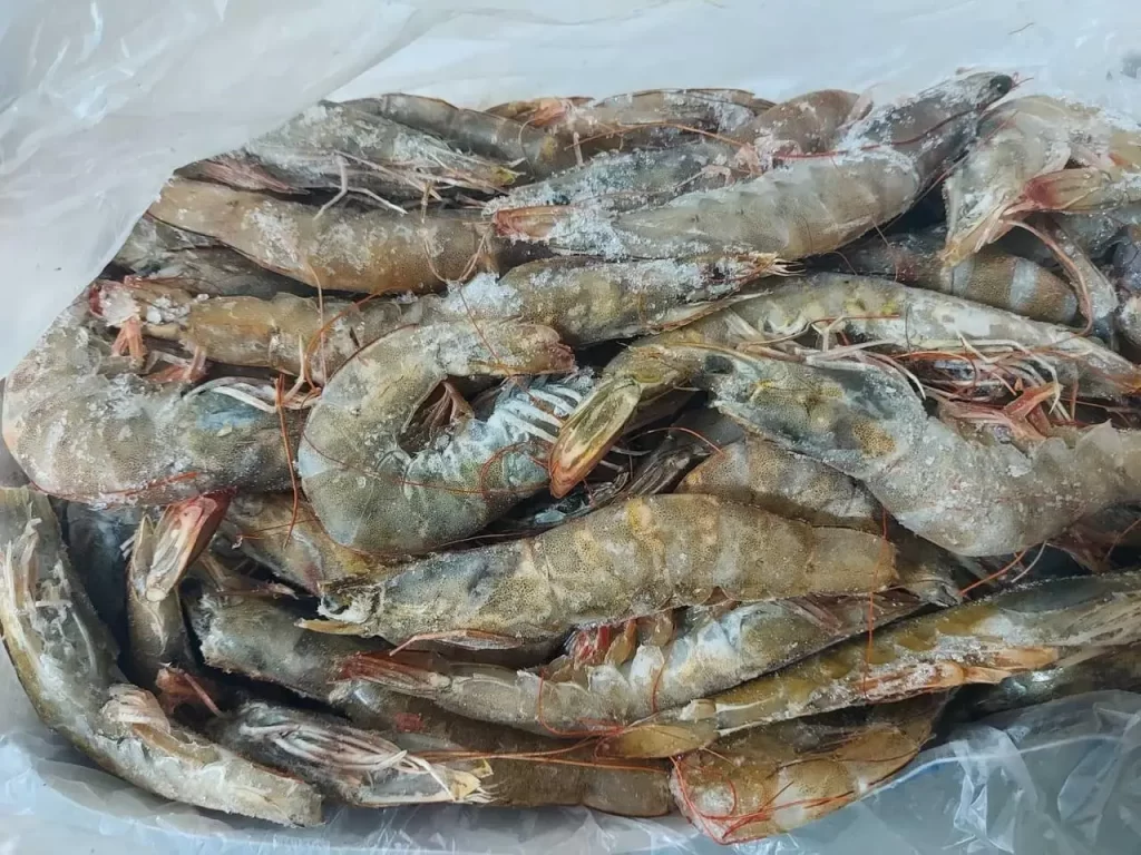 креветки