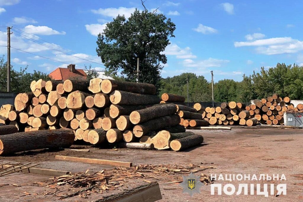 лісничий Сарата