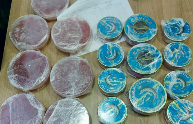 Ікра маяки