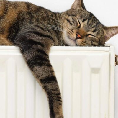 опалювання Вилкове