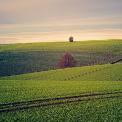 земельна ділянка ліцей