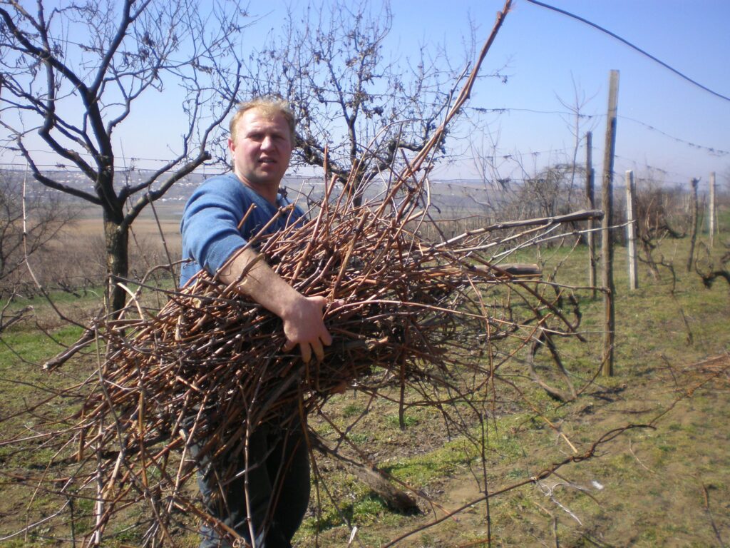 Сергій Мойсеєнко