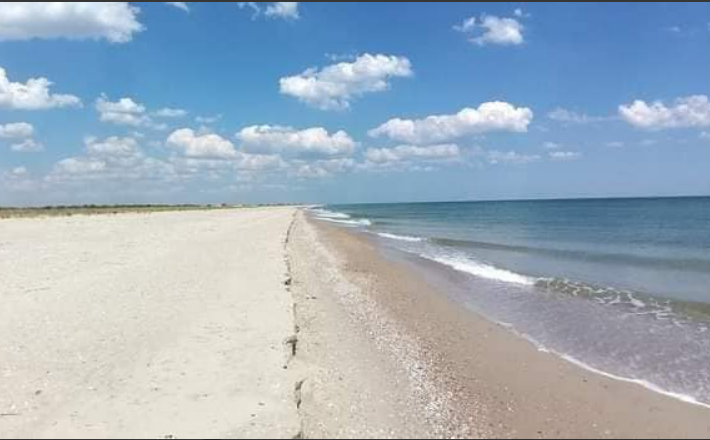 Тузловські лімани
