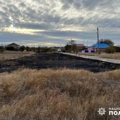 підпалив траву