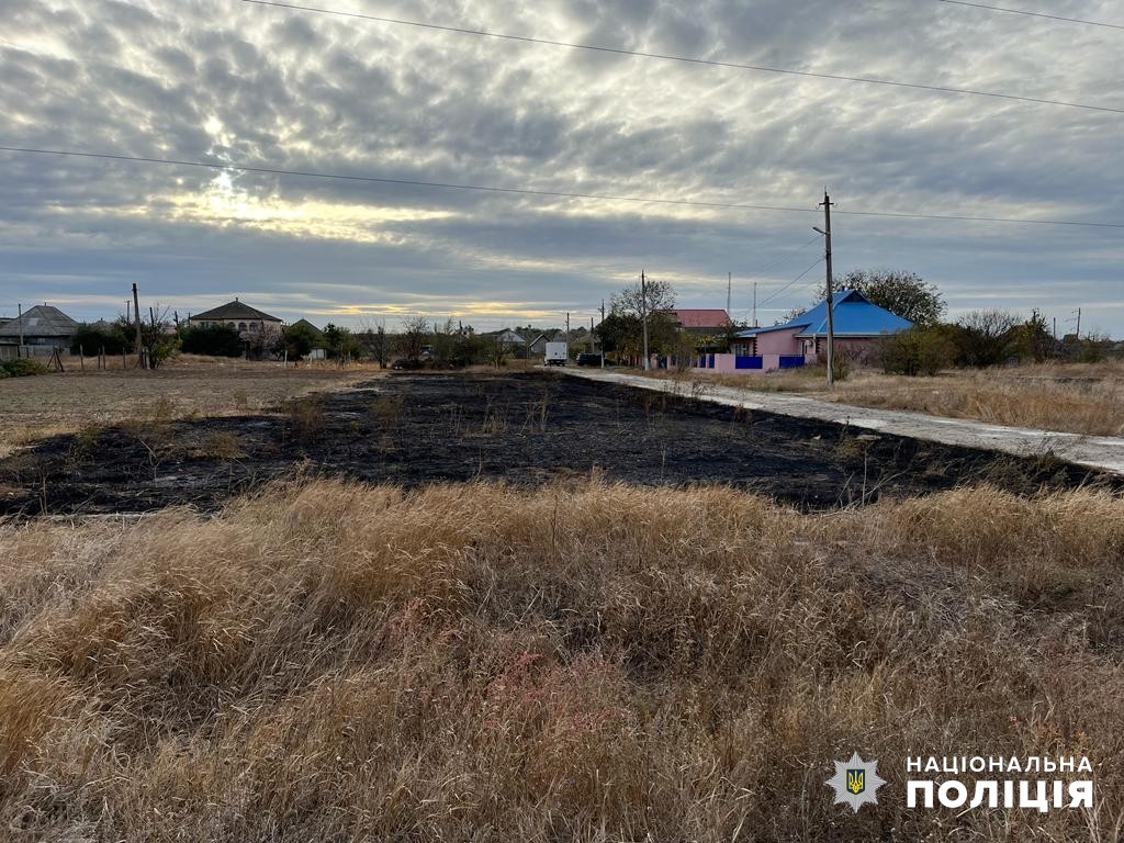 підпалив траву