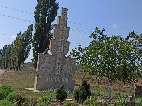 Виноградівка