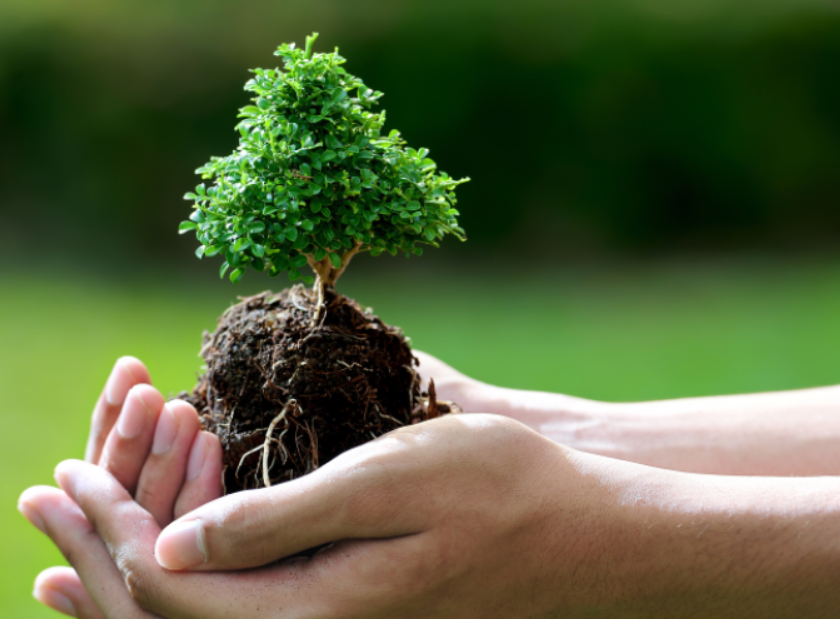 екоакція