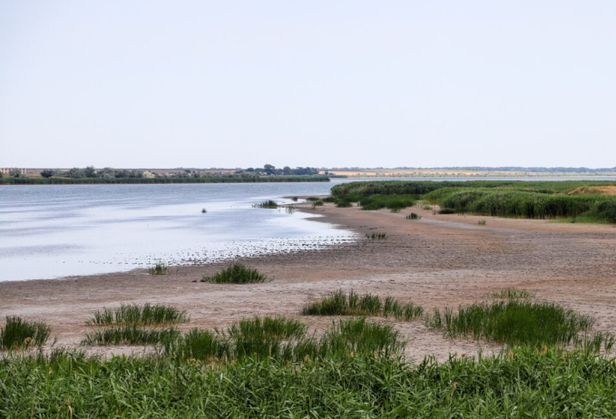 Катлабух