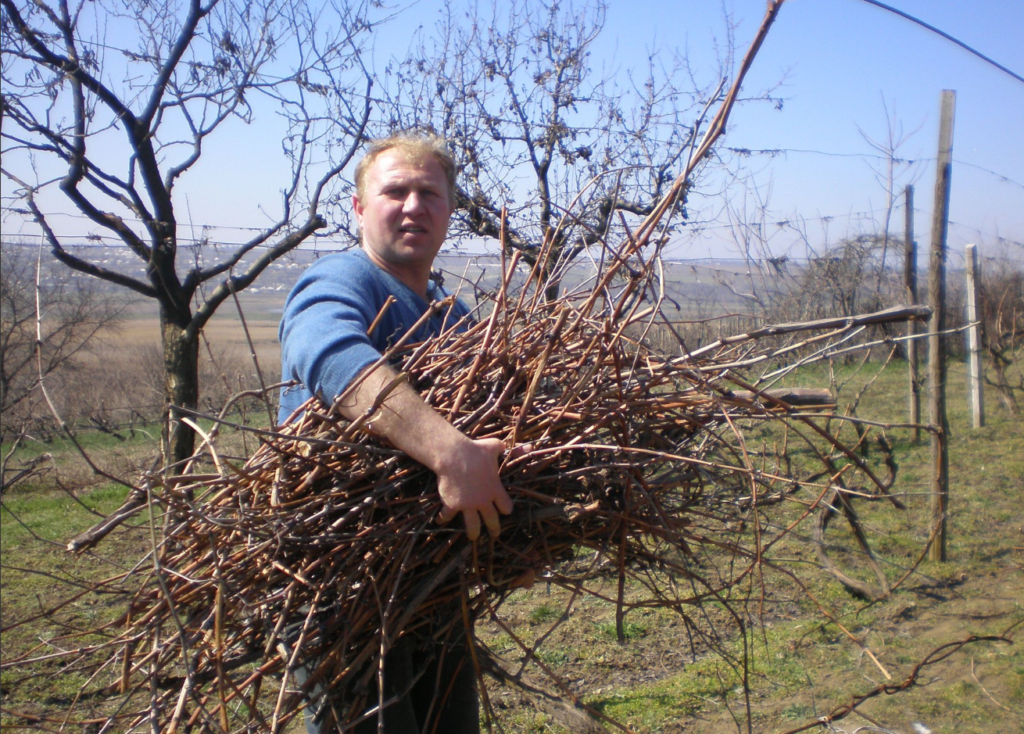 Сергій Мойсеєнко