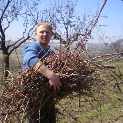 Сергій Мойсеєнко