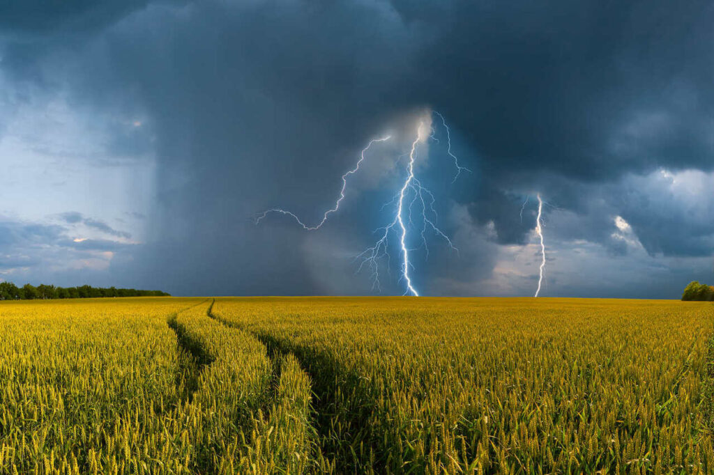 погода
