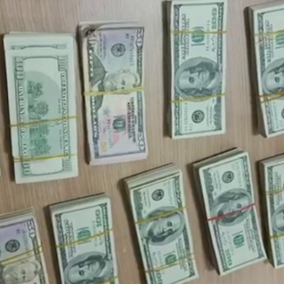 долари паланка