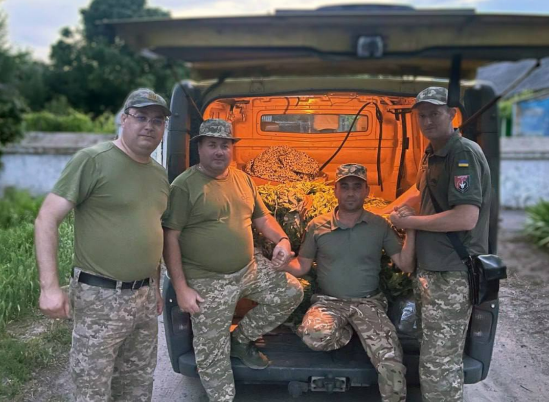 маскувальні сітки