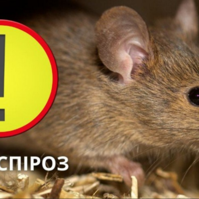 лептоспіроз