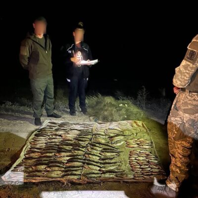 Сасик браконьєри