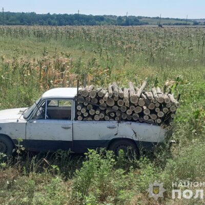 акації суд