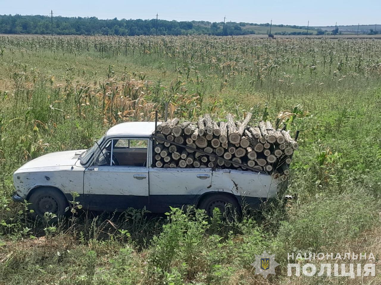 акації суд
