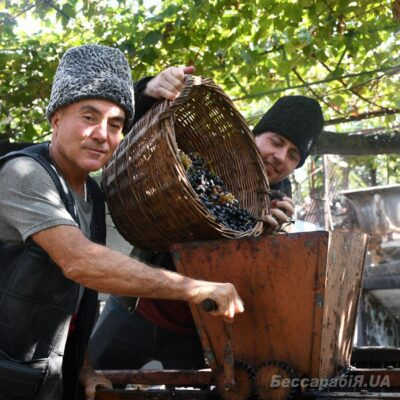 Табаки Вино