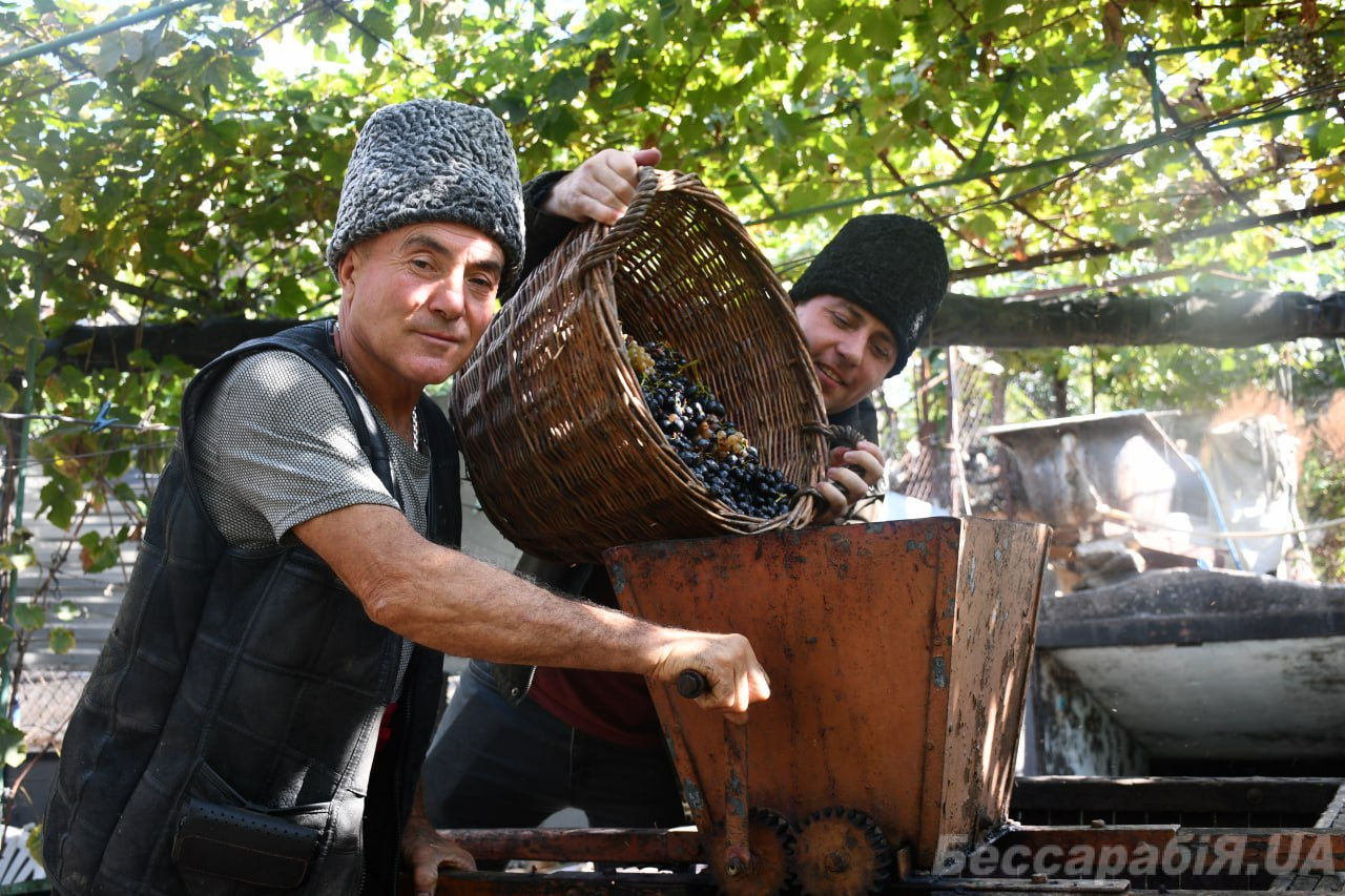 Табаки Вино