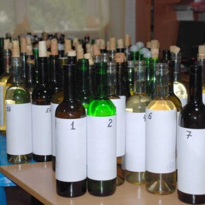 BOLGRAD WINE FEST-2024