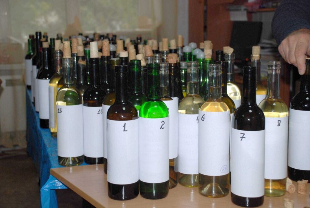 BOLGRAD WINE FEST-2024