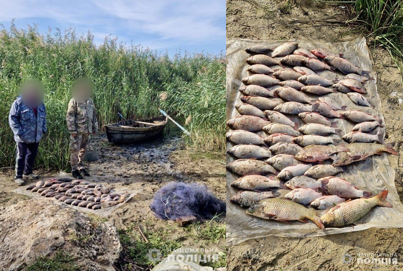 браконьєр