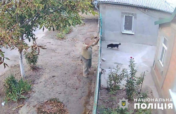 Кілія срілянина