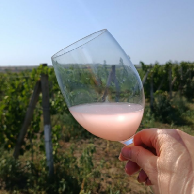 бурчик Бессарабія