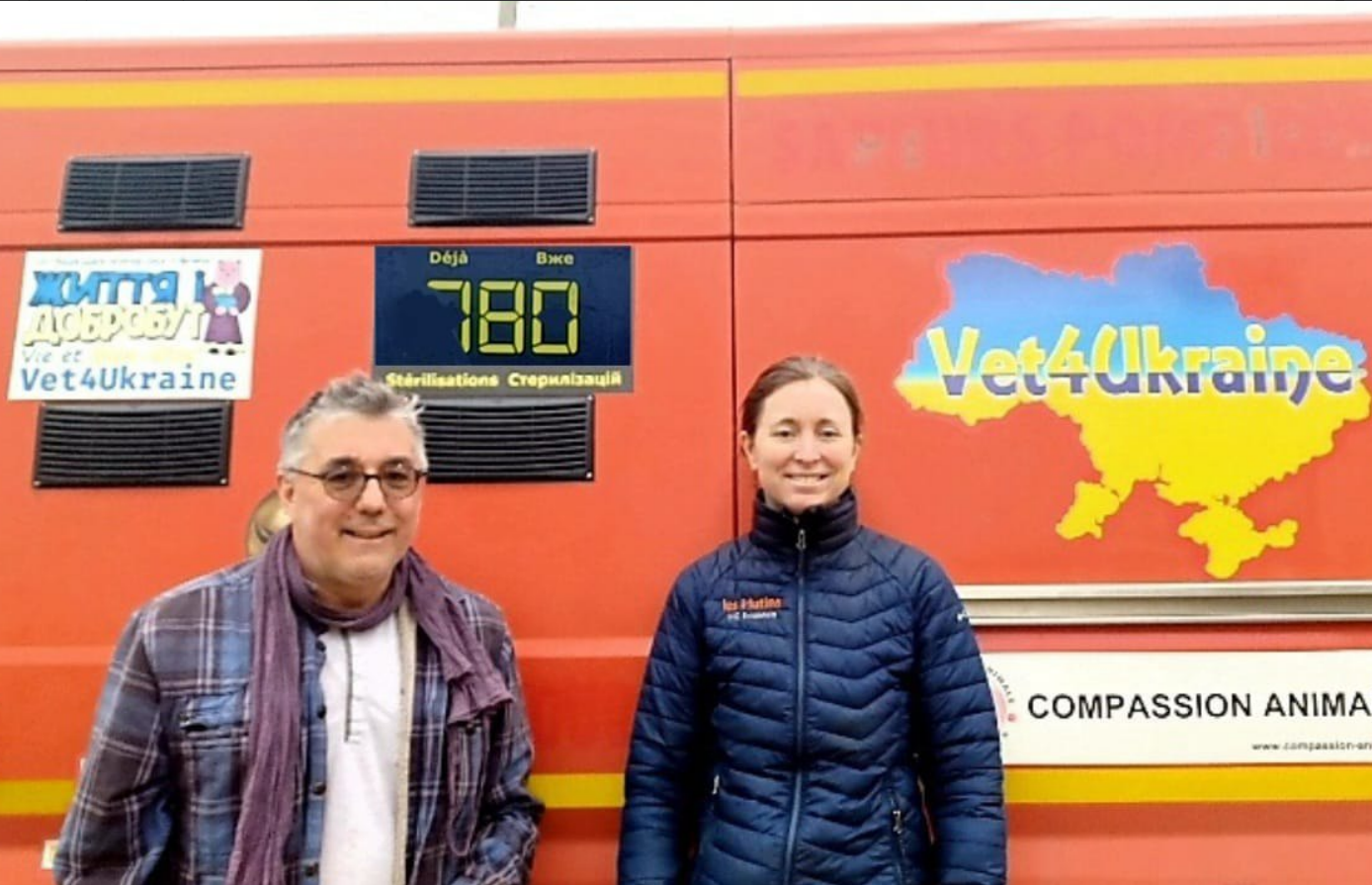 французькі ветеринари