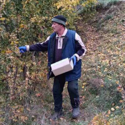 імунизація дики тварин